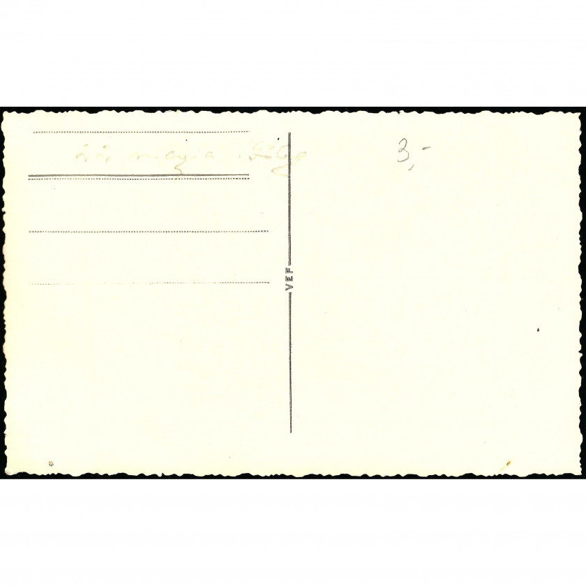 Fotogrāfija, Ziedošs dārzs