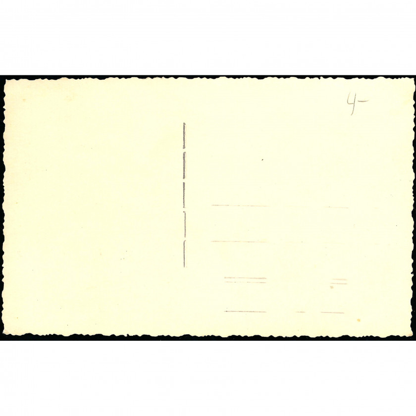 Photography, Lunch in the Garden