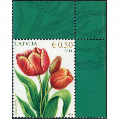 2014, Latvia, 0.50Eur, Michel #898, Offset, U...