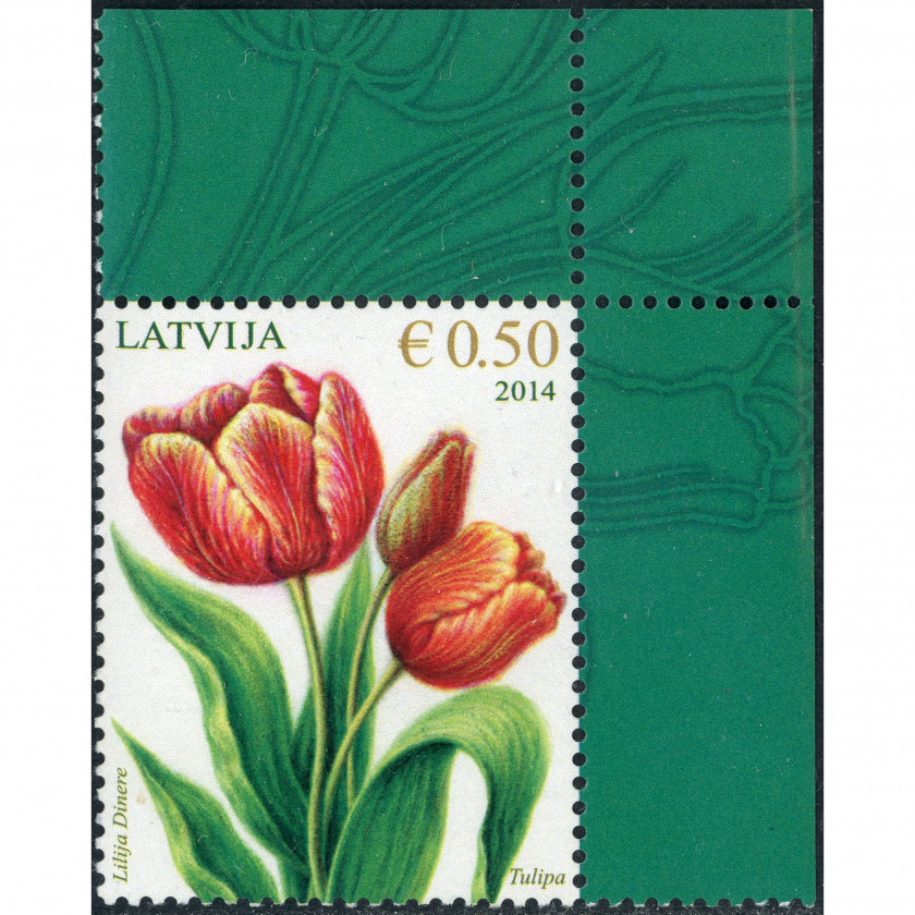 2014, Latvia, 0.50Eur, Michel #898, Ofset, Bez zīmoga, P13