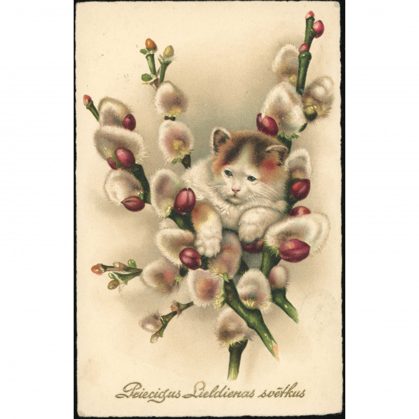 1933, Latvia , Easter Postcard: Cute Kitten in Willow Branches. Riga Cancel