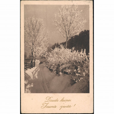 HWB / Import Publisher (Greeting Postcard): W...