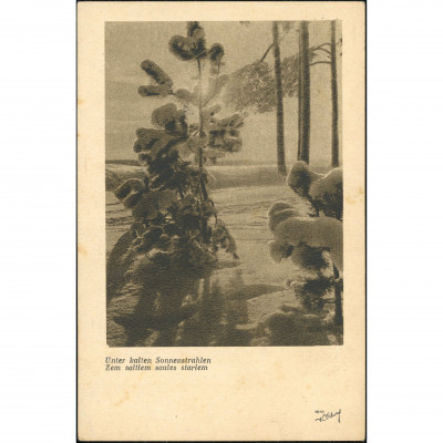 K. Vīburs Publisher (Real Photo Postcard): Un...