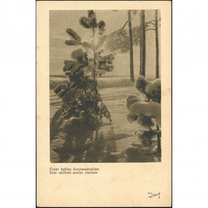K. Vīburs Publisher (Real Photo Postcard): Under cold sun rays. Latvian SSR post (1947)