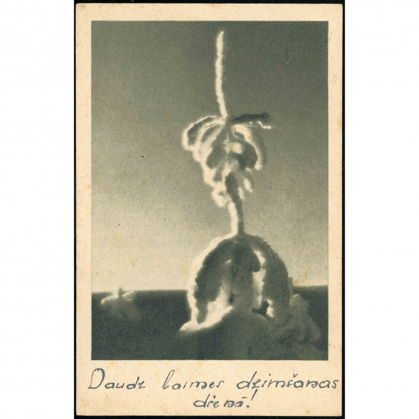"Upītis" / "Tēvija" Publisher (Photo Postcard): Backlit plant. Happy Birthday! (Printed 1941-1944 / Used 1946)