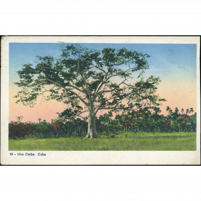 Cuba (Ceiba tree), date mailed: May 18, 1938...