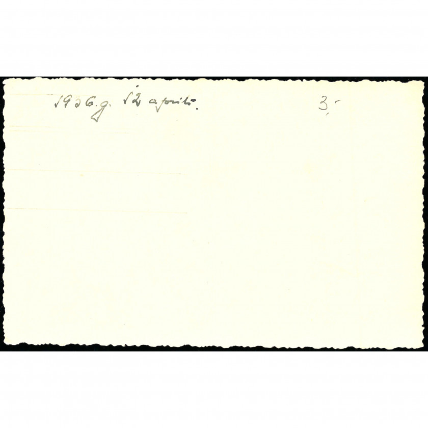 Фотография, Сосны и дюны