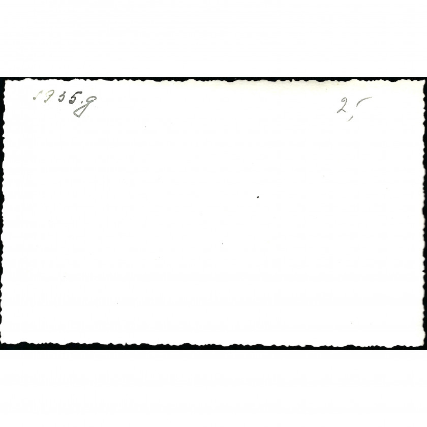 Photography, In the Garden