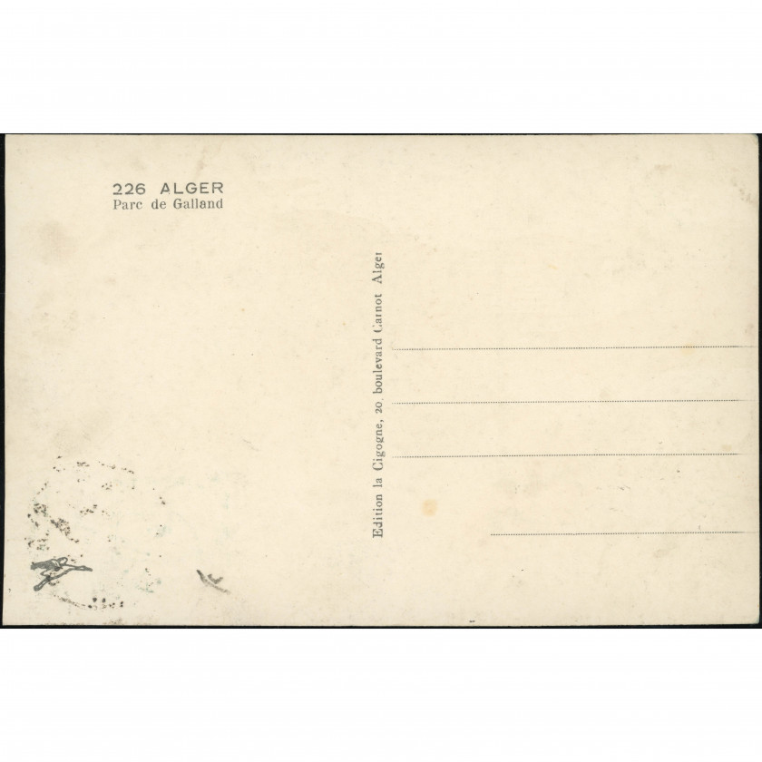 Algiers (Algeria) — Palm alley in Parc de Galland, period: 1920s–1930s, publisher: Edition la Cigogne (Algiers).