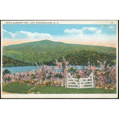 Lake Winnipesaukee (New Hampshire, USA), year...
