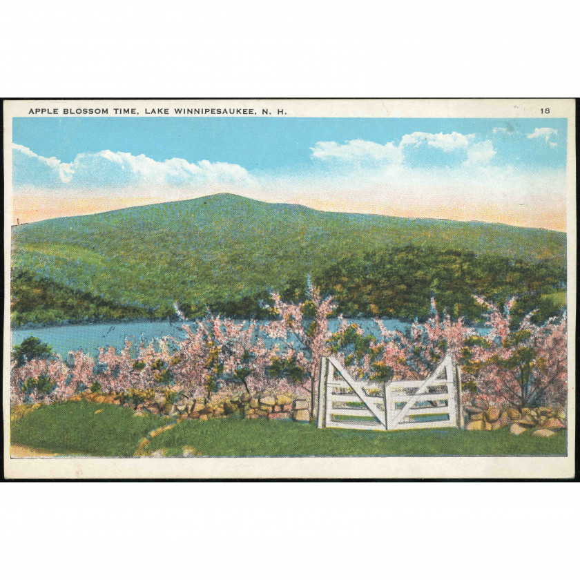 Lake Winnipesaukee (New Hampshire, USA), year: 1910s–1920s, publisher: "Old Man of the Mountain" series.