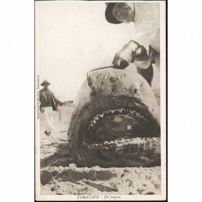 Tamatave (Madagascar), period: 1920s–1930s, p...