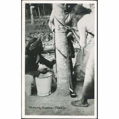 Temangan (British Malaya) — Tapping a rubber...