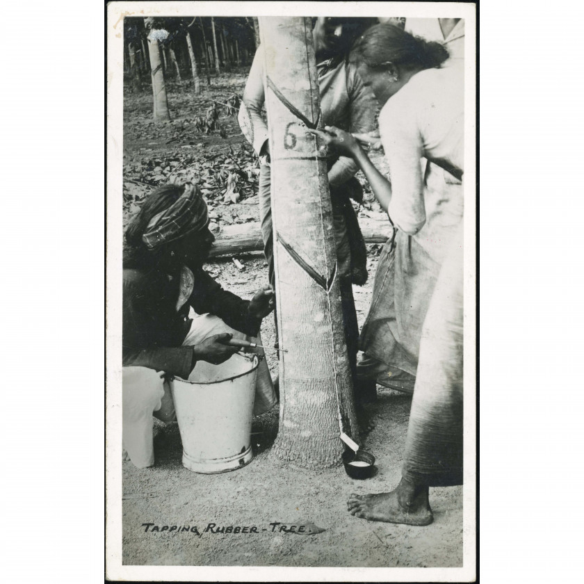 Temangana (Britu Malaja) — Kaučuka koka tecināšana, perioda datējums: 1930. gadi, izdevējs: nav norādīts (fotoatklātne).