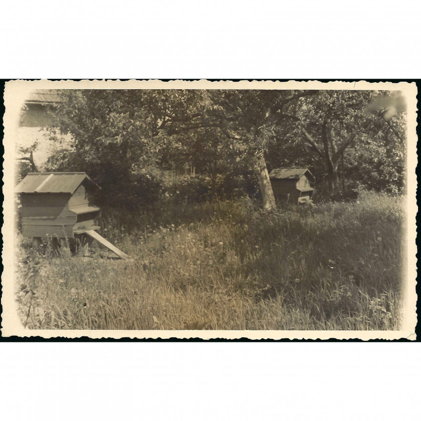 Фотография, Пасека