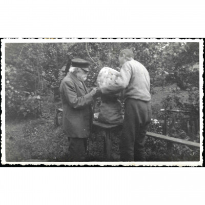 Фотография, Сбор урожая