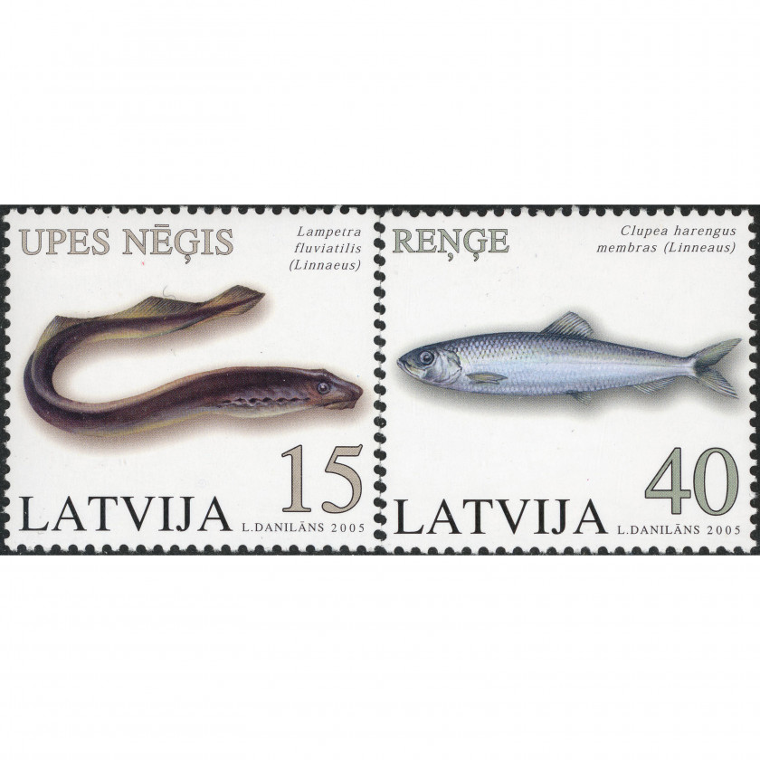 2005, Latvia, 15s-40s, Michel #639-#640, Offset, UnWmk, P13.5:14