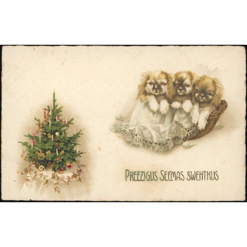 1920s, Latvia , Christmas Postcard: Cute Puppies & Tree. Rare Routing to Pitrags (Livonian Coast)
