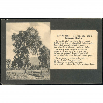 R. Belmanis: Landscape with birch trees, poem...