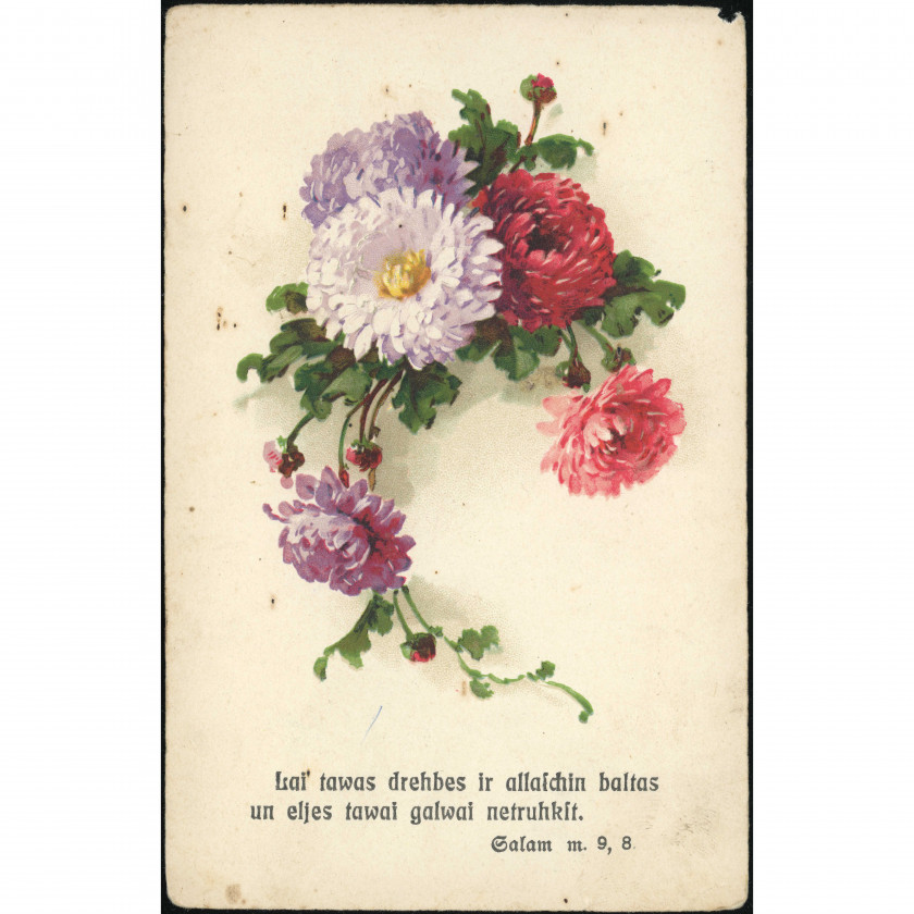 S.J.D. Publisher (Christian Postcard): Asters. Hand-delivered in Pitrags, 1929