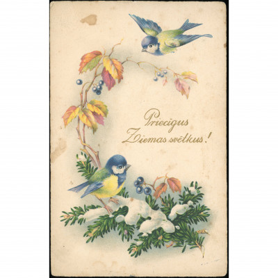 HWB Publisher (Christmas Postcard): Titmice o...