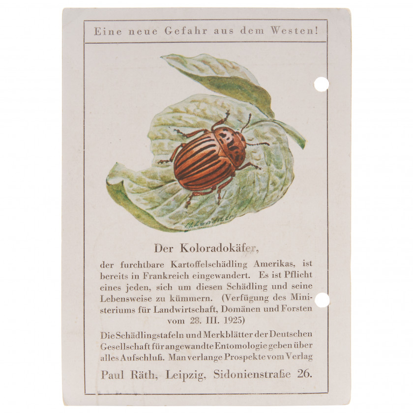 Postcard "A new threat from the west! The colorado beetle."