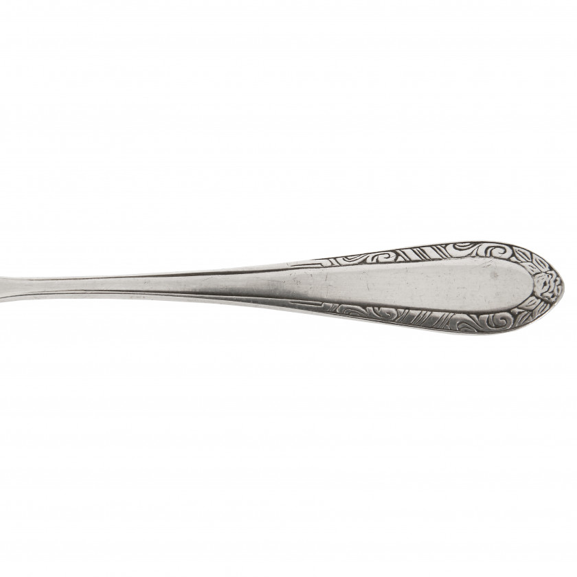 Silver spoon for sugar