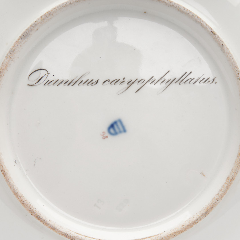 Porcelāna dekoratīvais šķīvis "Dārza neļķe"